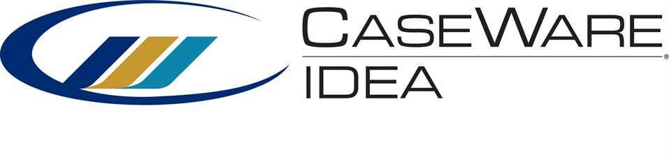 caseware idea join summarize
