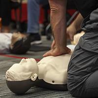 First Aid Plus - Nepean