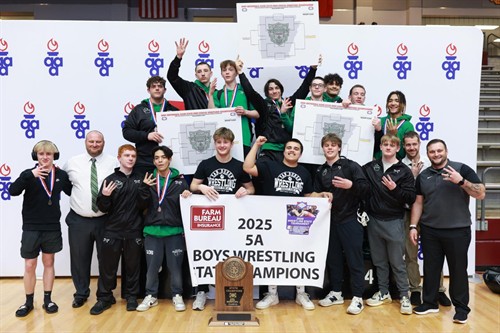 Gallery Image Wrestling.jpg