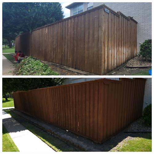 Fence Staining (before and after)