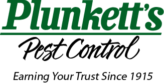Gallery Image Plunkett's_Logo_and_Tagline_Pantone_7483_Green.png