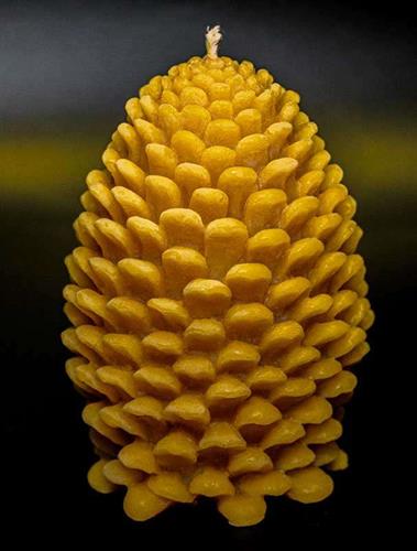Large Beeswax Pine cone pillar candle