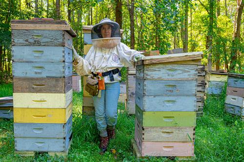 Mary in our main bee yard