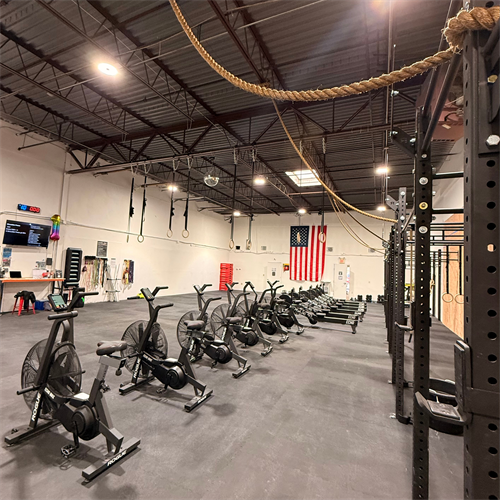 Gallery Image Untitled_design_-_2.png