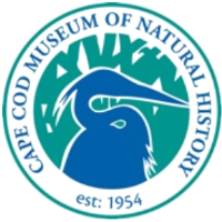 Cape Cod Museum of Natural History presents "The Disappearance of the PX-15"