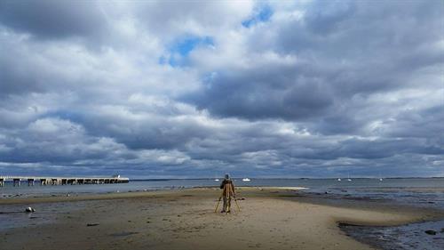 Beach Survey