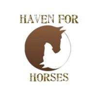 Board of Directors as Vice President for our Non-Profit  501(c)3 Horse Rescue