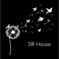 Sisters In Recovery (SIR House)