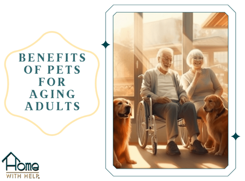 Gallery Image Home-with-Help-Benefits-of-pets-in-your-older-years-1-768x569.png