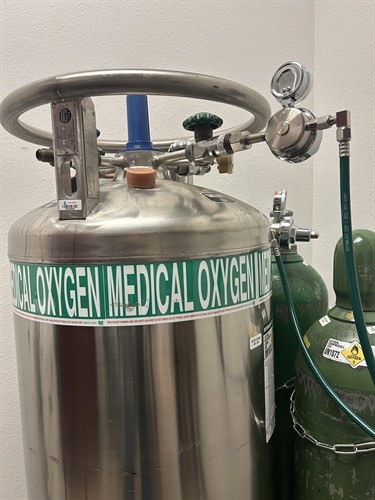 Gallery Image IMG_2291.jpeg