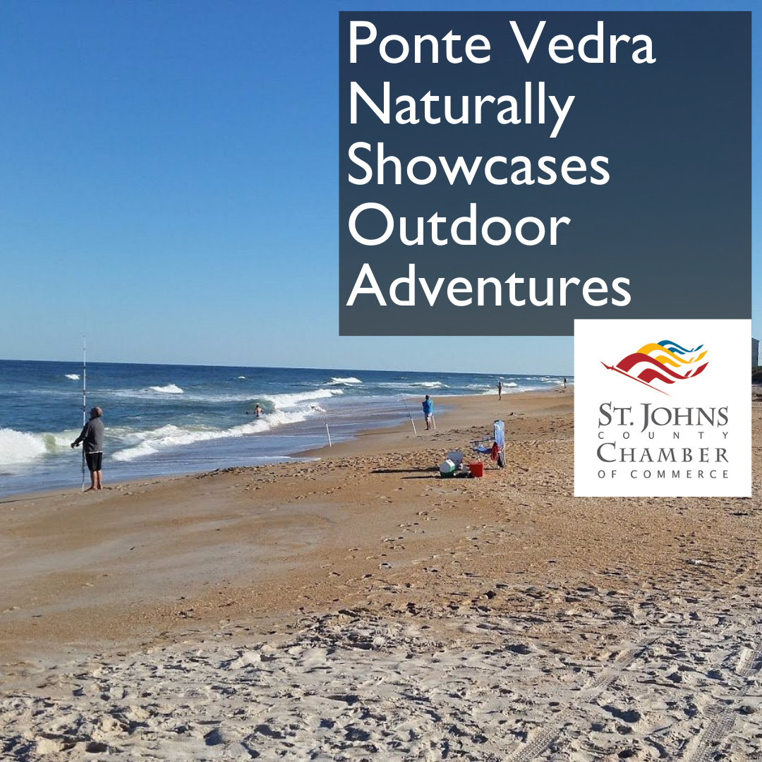 Image for Ponte Vedra Naturally Website Showcases Outdoor Assets