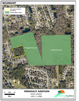 North Florida Land Trust and the City of Jacksonville have added 4.5 acres to Ferngully Preserve in Mandarin