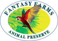 Fantasy Farms Events