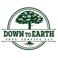 Ribbon Cutting for Down to Earth Tree Service, LLC 