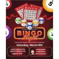 Bingo Night - Leadership Algona Class Fundraiser