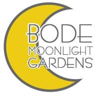 Weekly Business Coffee at Bode's Moonlight Gardens