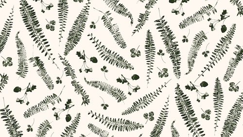 Gallery Image Frame_136.jpg Gallery Image Frame_136.jpg