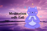 Guided Meditation Hour with Cats