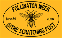 Pollinator Week Event @The Scratching Post!