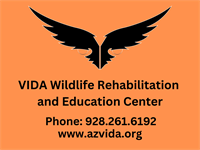 Fundraising Event at Roundtable Pizza for Vida Wildlife Rehabilitation and Education Center
