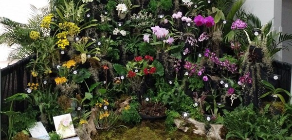 Gallery Image VAOS_SHowDisplay.jpg