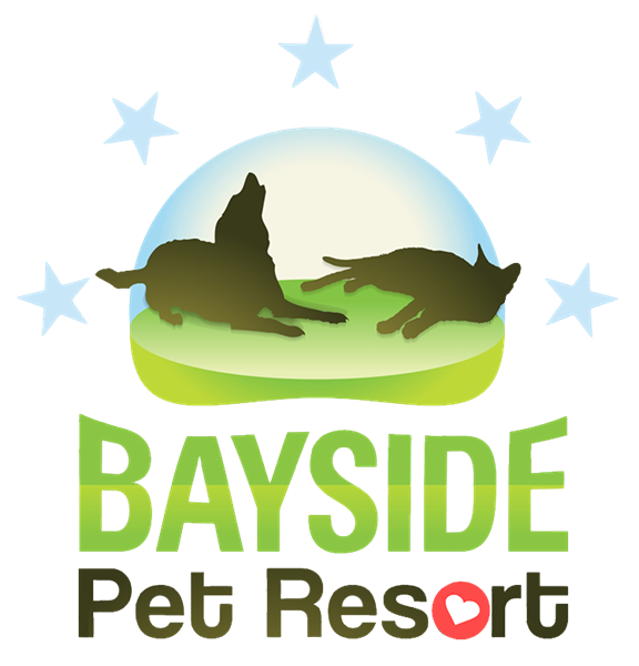 Bayside Pet Resort of Osprey Bayside Pet Resort of Osprey