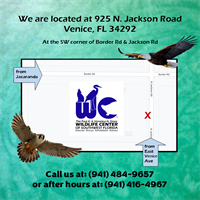 925 N. Jackson Road, Venice, FL 34292