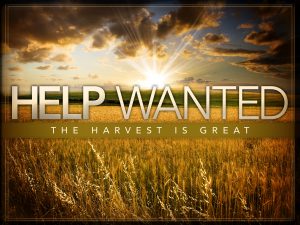 The Harvest is plentiful, but the laborers are few.