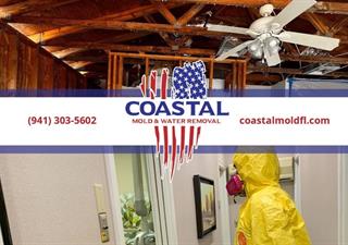 Coastal Mold & Water Removal Services