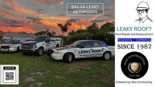 Gallery Image LEAKY_ROOF.JPG