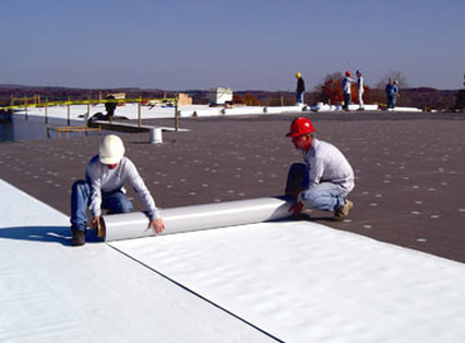 Gallery Image commercial_tpo_roof.jpg