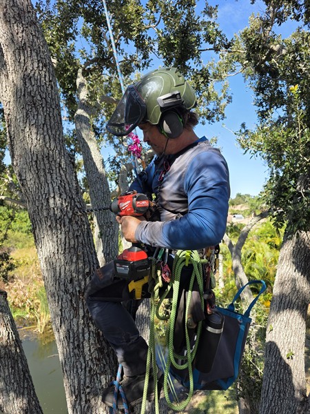 Gallery Image 1000030186.jpg