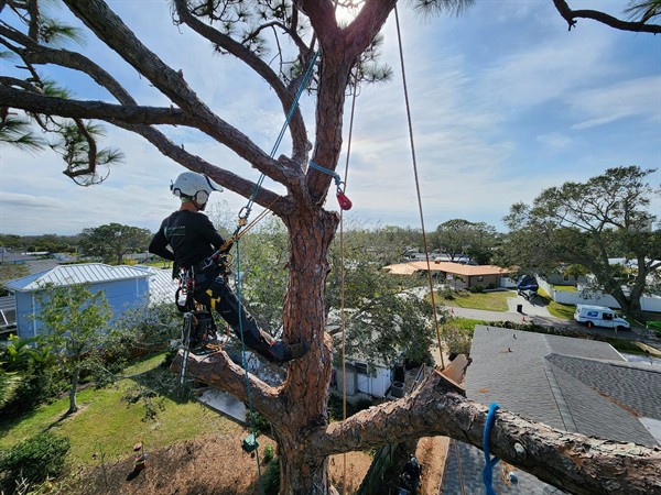 Gallery Image 481107906_1110732634189528_1990694571159226754_n.jpg