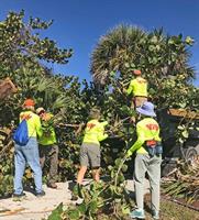 Team KVB cleaning up trees and debris from parks and beaches