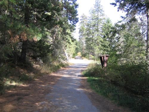 Bigfork Nature Trails 