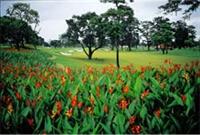 Mimosa Golf and Country Club, Angles City, Philippines 