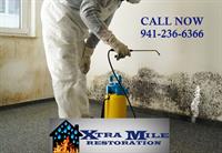 Certified in Mold Remediation!