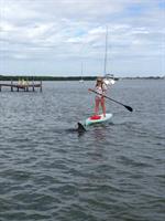 Paddle with Dolphins in Lemon Bay and Gasparilla Sound 