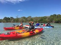 Kayaking Rentals and Tours in Englewood, FL 