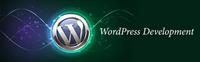 Gallery Image Wordpress-Development-banner.jpg