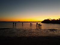 Nighttime Seagrass Wading Trips