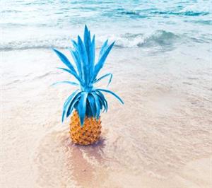 Blue Pineapple Bistro