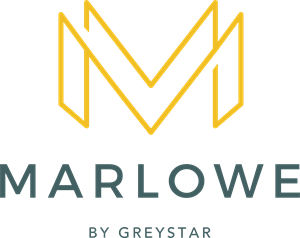 Marlowe Jacaranda