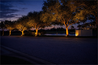 Gallery Image FFD9269A-047C-40A7-A70B-E3DBB7E8F67D.png