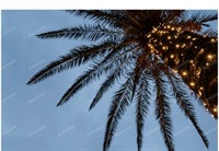 Gallery Image IMG_2312.jpeg