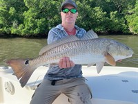 Gallery Image EdRed.jpg