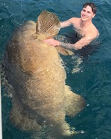 Gallery Image Gol.jpg