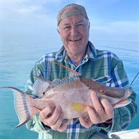 Gallery Image Hog.jpg