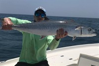 Gallery Image King.jpg