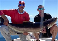 Gallery Image PaulCobia.jpg